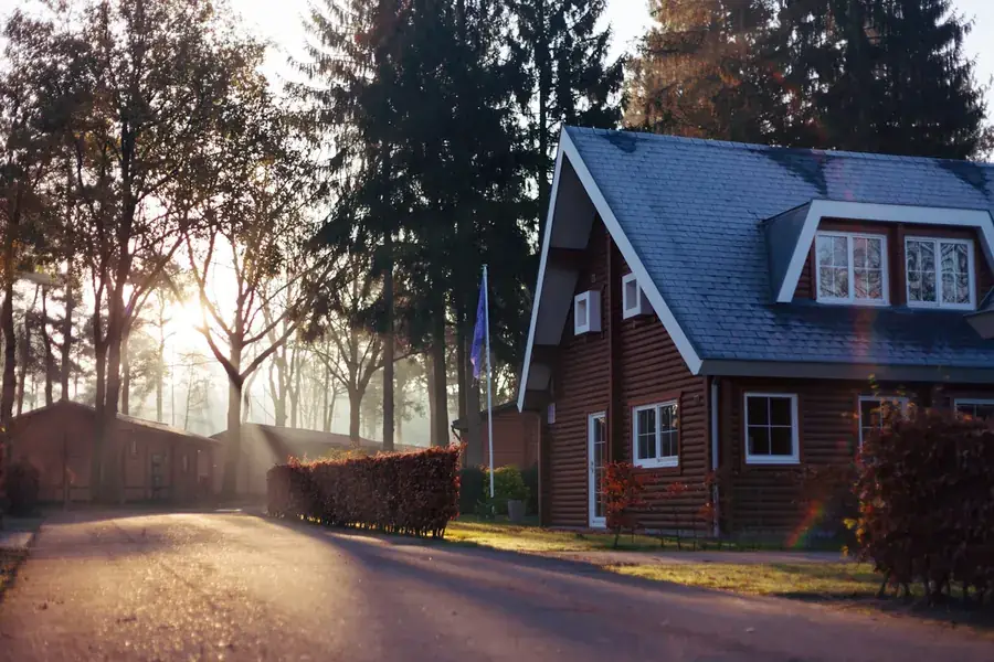 The exterior of a house among trees in low winter light